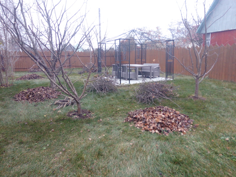 Обслуживание территории