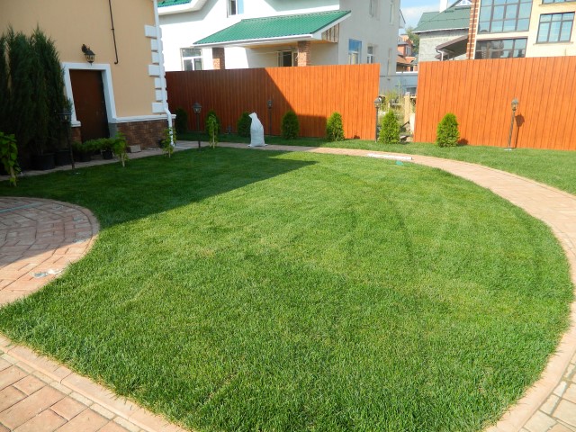 Готовим газон к холодам, или как сохранить газон зимой